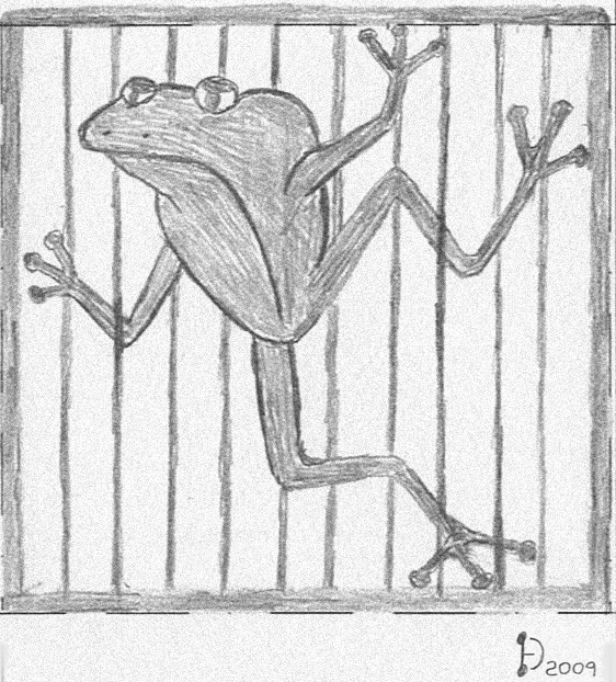 frog garden gate