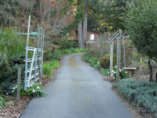 entry gate