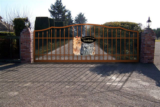 yorkie gate