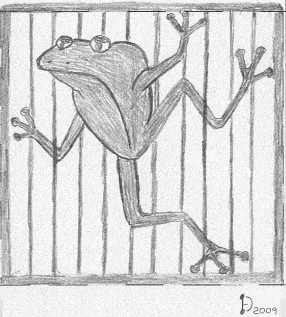frog garden gate
